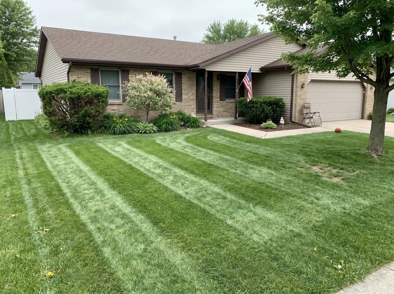 Lawn Mowing