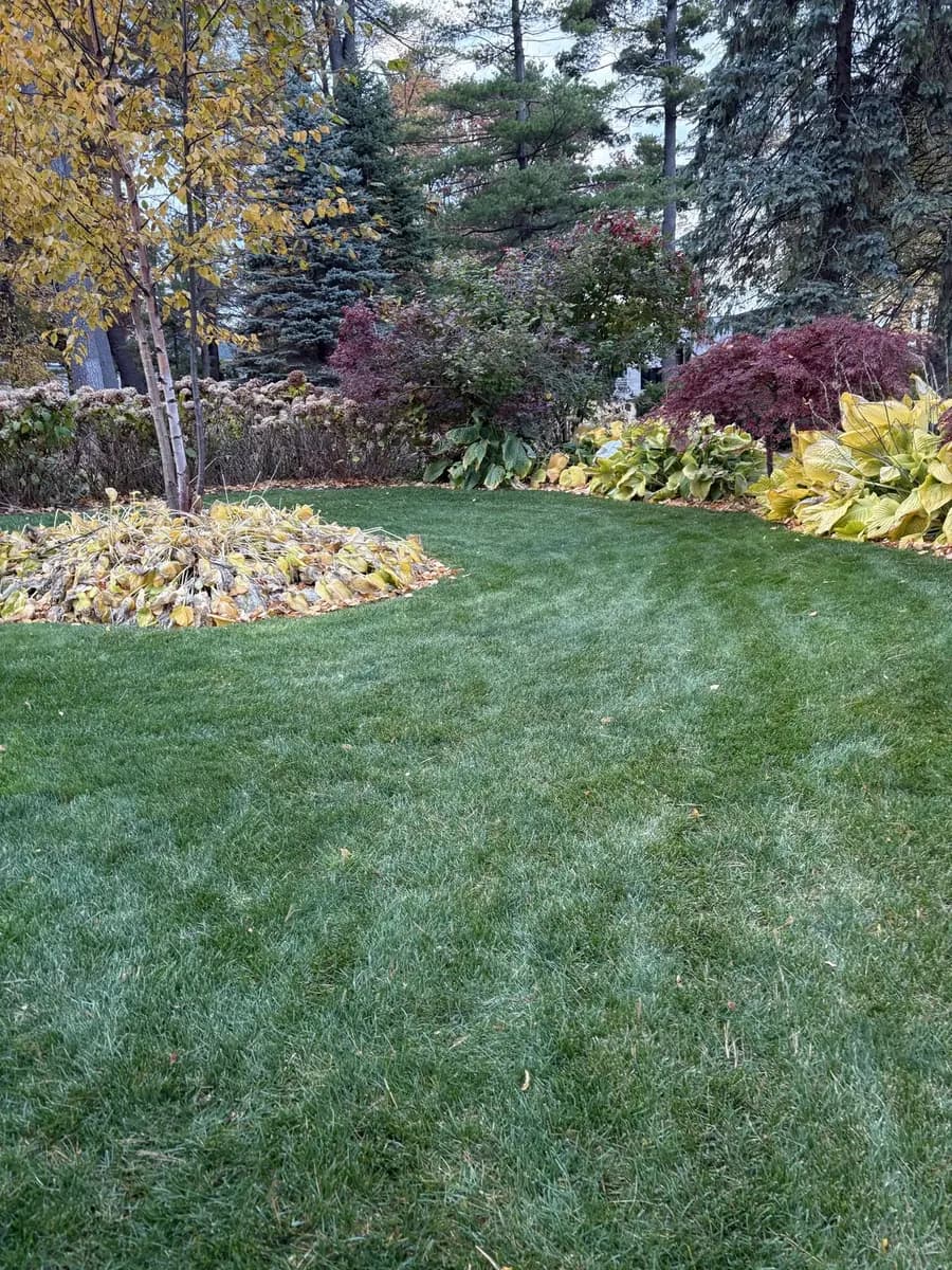 Fall Cleanups — after