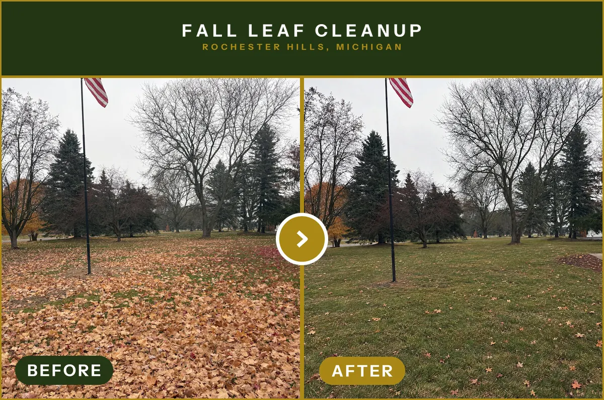 Fall leaf cleanup · Rochester Hills, MI