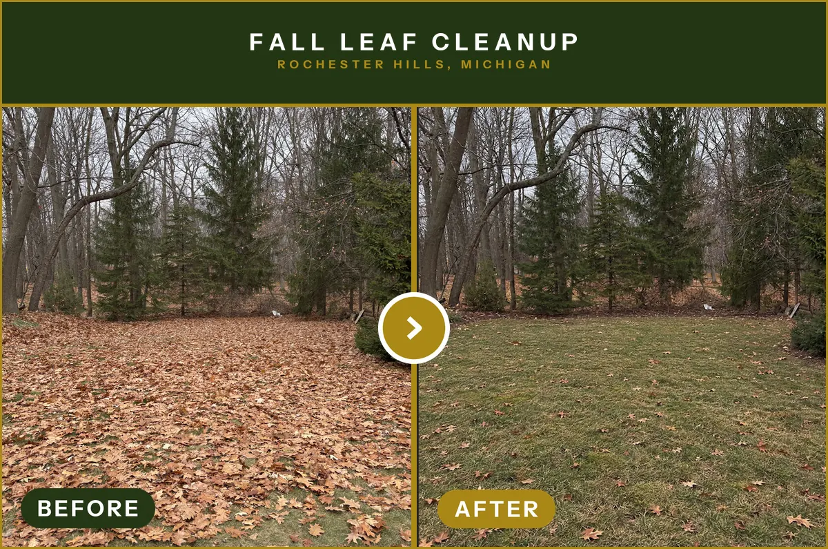Fall leaf cleanup · Rochester Hills, MI