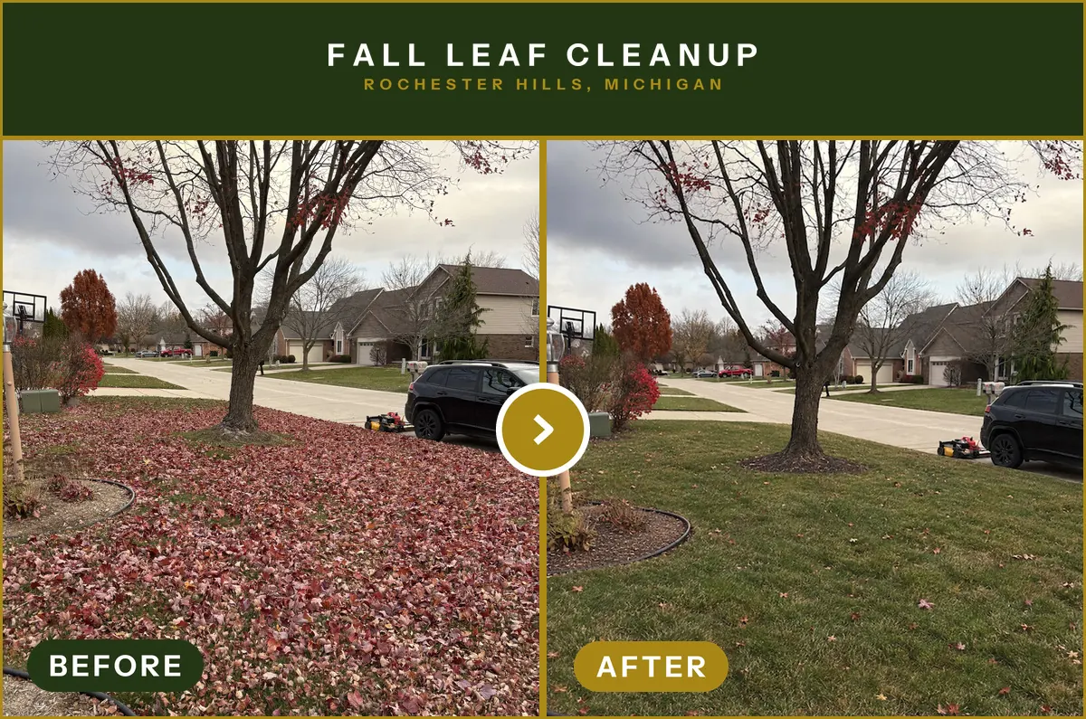 Fall leaf cleanup · Rochester Hills, MI