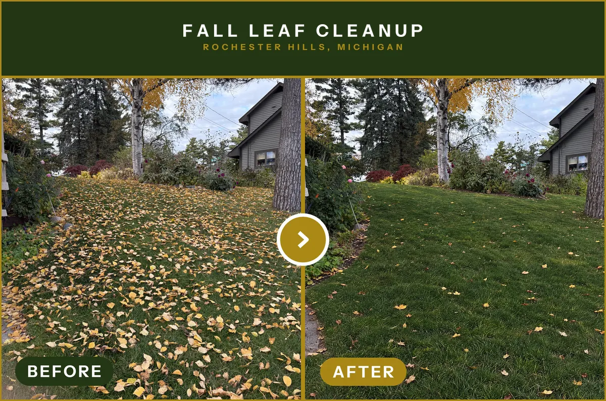 Fall leaf cleanup · Rochester Hills, MI