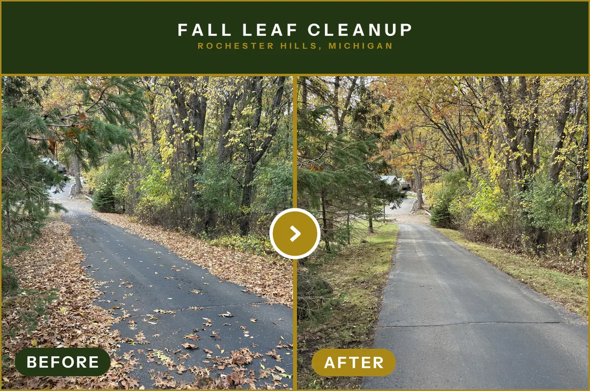 Fall leaf cleanup · Rochester Hills, MI