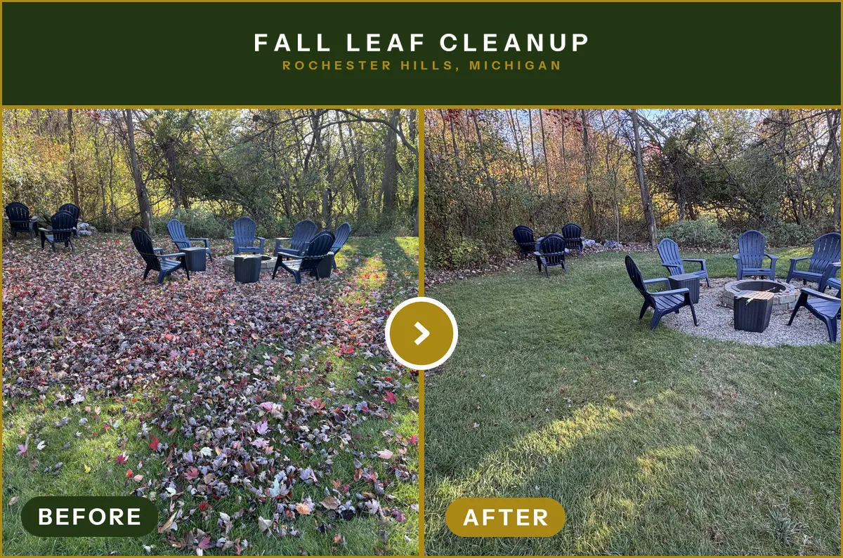 Fall leaf cleanup · Rochester Hills, MI