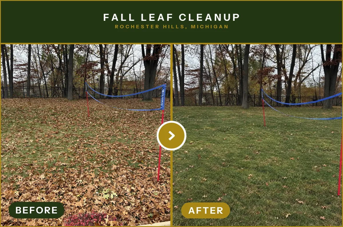 Fall leaf cleanup · Rochester Hills, MI