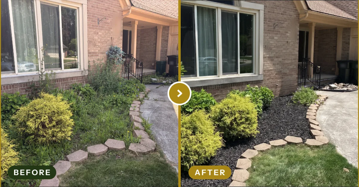 Bed Cleanup & Mulch Install in Rochester Hills, MI — before and after