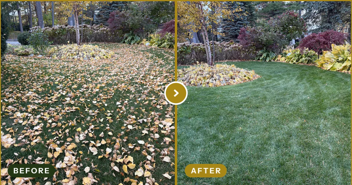 Fall Leaf Cleanup in Rochester Hills, MI — before and after
